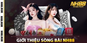 Giới Thiệu Sòng Bài NH88